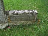 image of grave number 244913